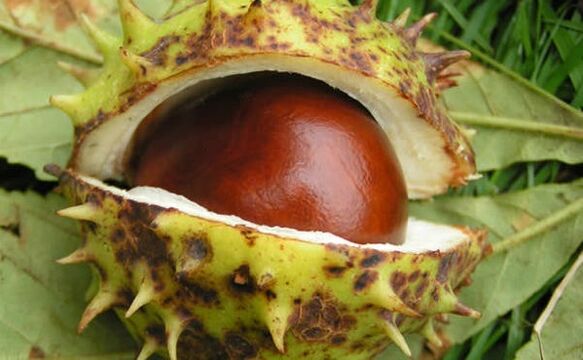 Methods of treating prostatitis in men